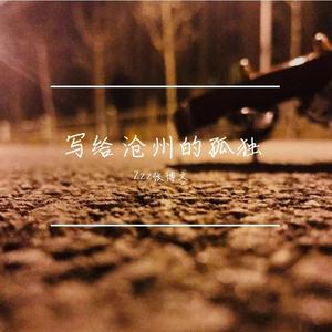 写给沧州的孤独