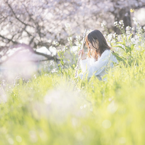 はじまりのうた