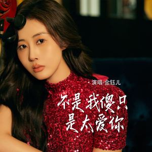 不是我傻只是太爱你 (DJ阿能版)