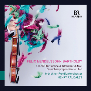 String Symphony No. 6 in E-Flat Major, MWV N6: I. Allegro