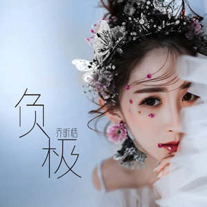 负极