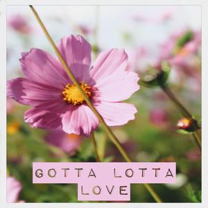 Gotta Lotta Love