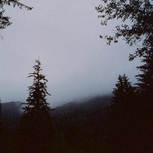 Tributary