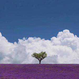 豆腐干豆腐的2 (1)