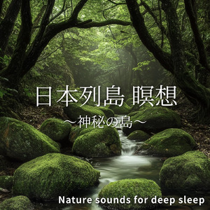 睡眠用BGM 海辺の夜風と眠りの音