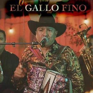 El Gallo Fino