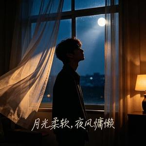 月光柔软夜风慵懒