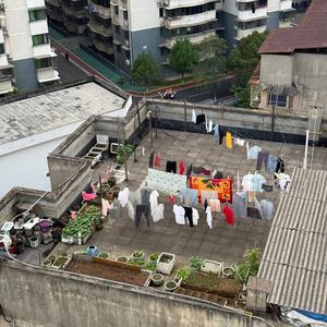 琥珀（like a dream）