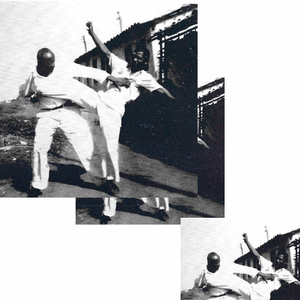 Бразильский Староста