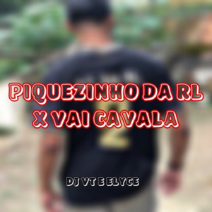 PIQUEZINHO DA RL X VAI CAVALA