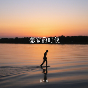 想家的时候