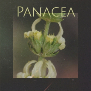 Panacea