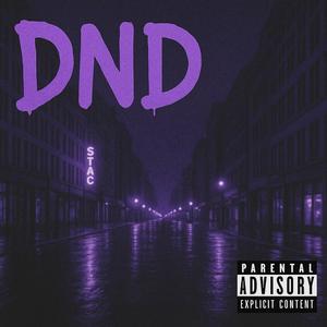 DND (feat. Rizzovg & Aum1k)