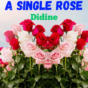 A Single Rose