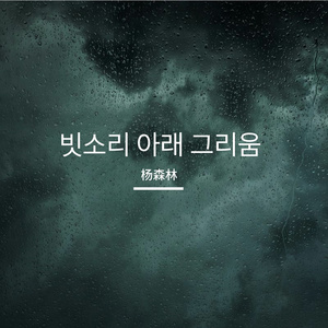 빗길 위 그림자