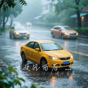 一夜风雨后 百花落