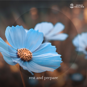 brain reset (Meditation Edit)