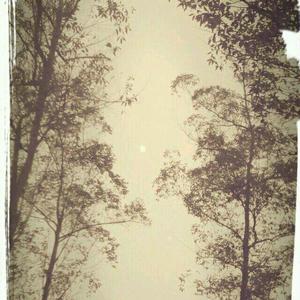 随笔（Prod By 9Zi）