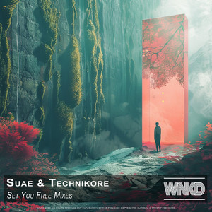 Set You Free (Quick Mix)
