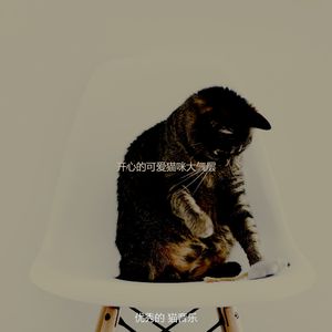 微妙的小猫心情