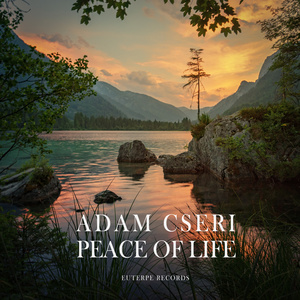 Peace of Life