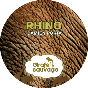 Rhino (Leo Fernandez Remix)