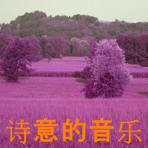 诗意的音乐