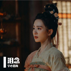 泪念(《掌心》电视剧插曲)