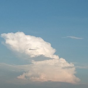 【Free】马思唯 type （prod by.彭乐）