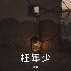 枉年少