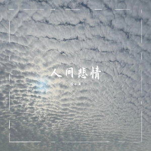 人间悲情demo