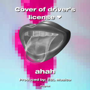 Cover of driver’s license