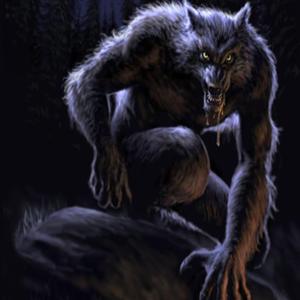 Vlkodlak (feat. 300Percs)