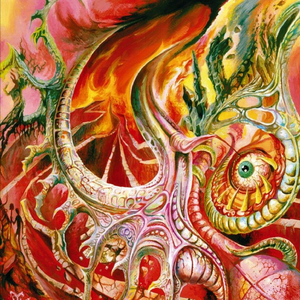 BOTA PALMA X NA ONDA DO BERIMBAU