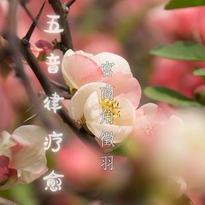 五音律疗愈.宫商角徵羽