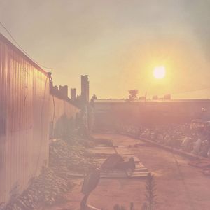 在仲夏夜之后(在zんδηɡ廈㊰廴後)