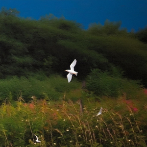 나아가는 여행자를 위해