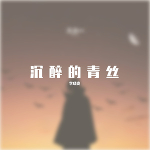 你的大表哥曲甲-沉醉的青丝