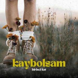 Kaybolsam