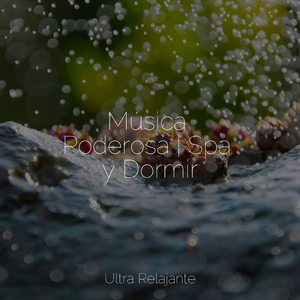 Maravillas Submarinas