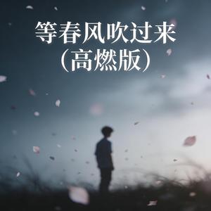 等春风吹过来 (高燃版)