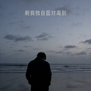剩我独自面对离别