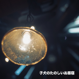 子犬のたのしいお昼寝