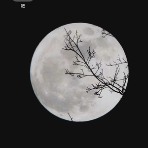 FormatFactoryPart128