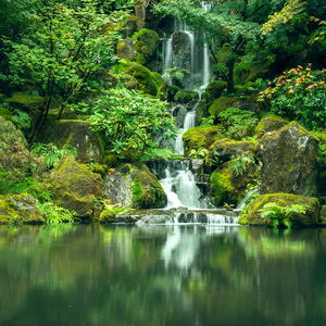 小溪流水声Vol.5