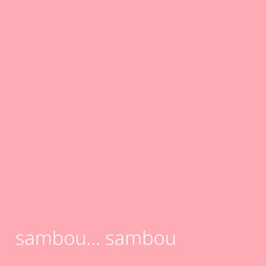 Sambou Sambou