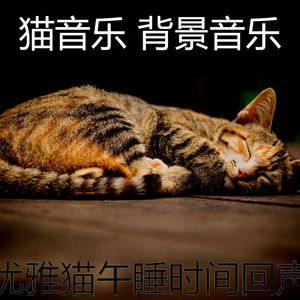 微妙的睡猫心情