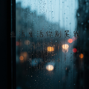 生活生活你别笑我(深情对唱版)