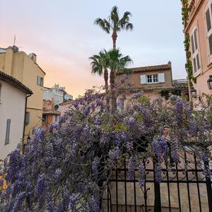 Ramatuelle 20:30