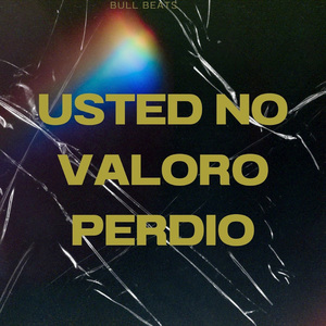 Usted No Valoro Perdio (Remix)